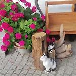 Ferienbauernhof Moarhof Apartamento
