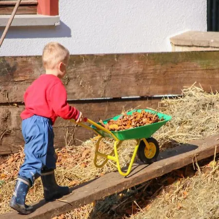 Ferienbauernhof Moarhof Апартаменты Wittelshofen
